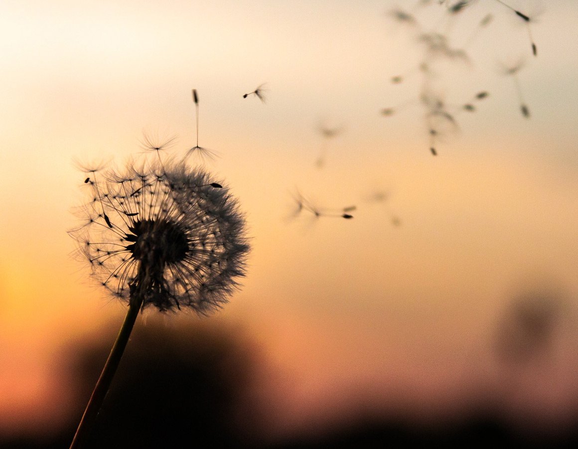 Mindfulness Works